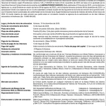 2022 Aviso de Prensa Serie I Vincenti Emisiones 2022-VII y VIII Miniatura