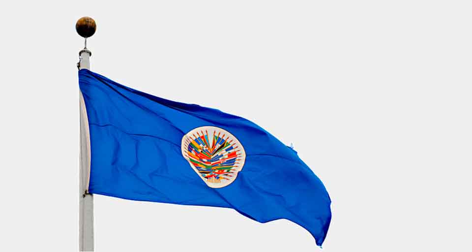 Bandera OEA