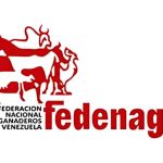 Logo Fedenaga